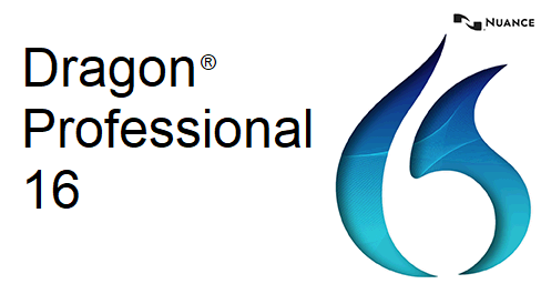 Dragon profesisonal v16
